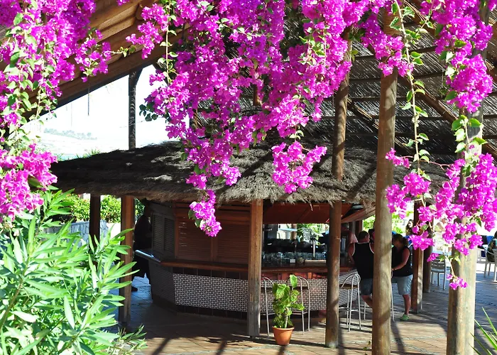 Sbh Monica 4* Costa Calma