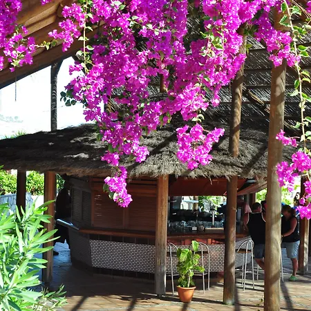 Sbh Monica 4* 코스타카르마