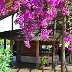 Sbh Monica 4* Коста Калма